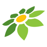 LINK OVO77